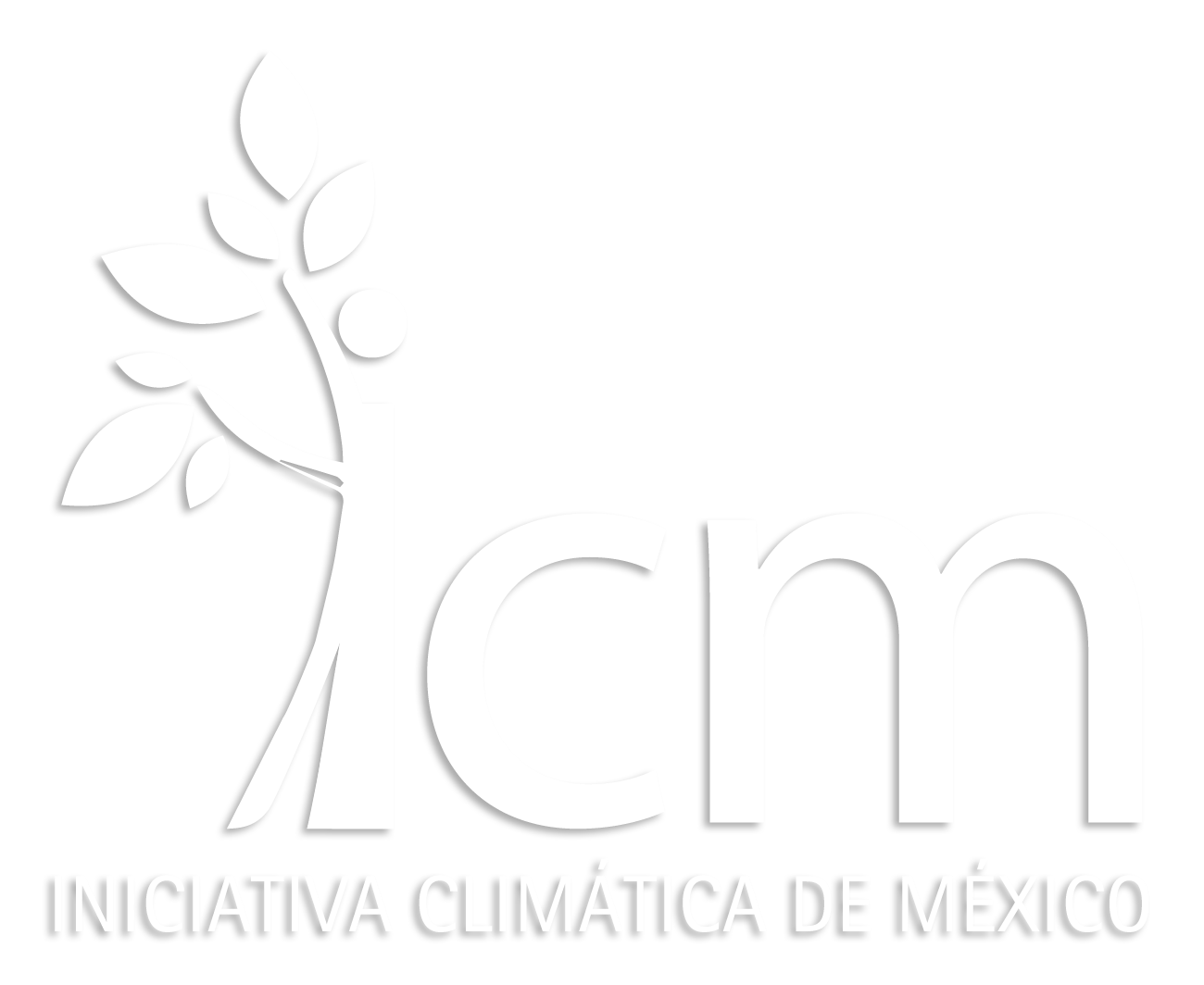 icm_mx