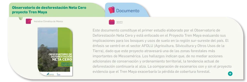 01 Observatorio de desforestación Neta Cero proyecto Tren Maya