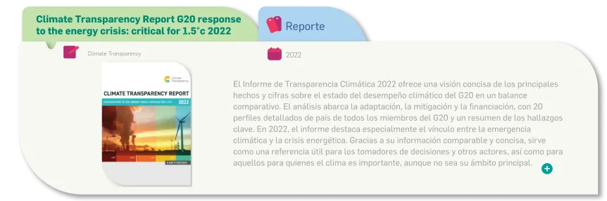 REPORTE CT G20_ENG